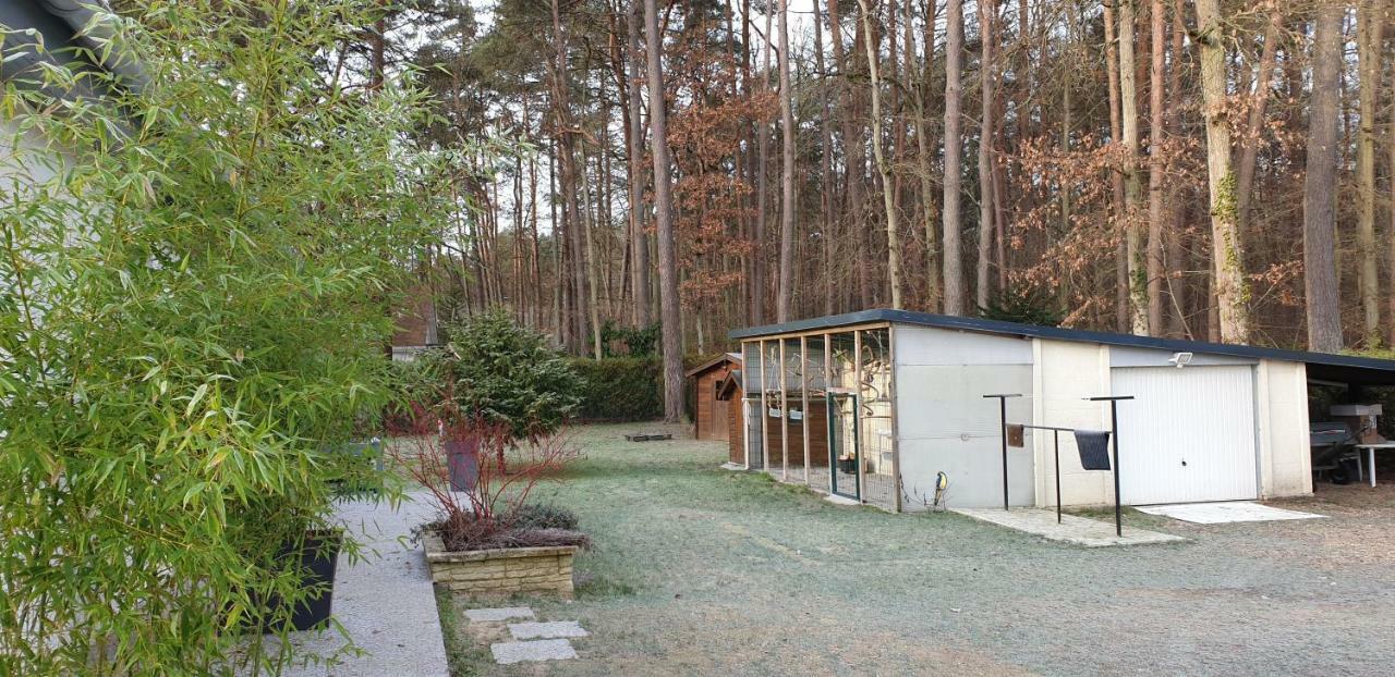 Etape Foret Fontainebleau Climb & Randonnees Arbonne Exterior foto